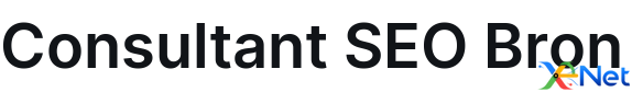 Consultant SEO Bron